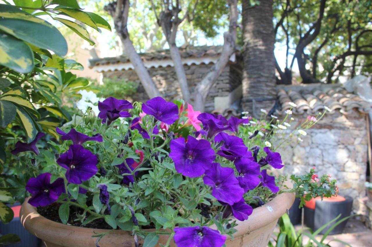 Hotel Les Palmiers Saint-Tropez Buitenkant foto